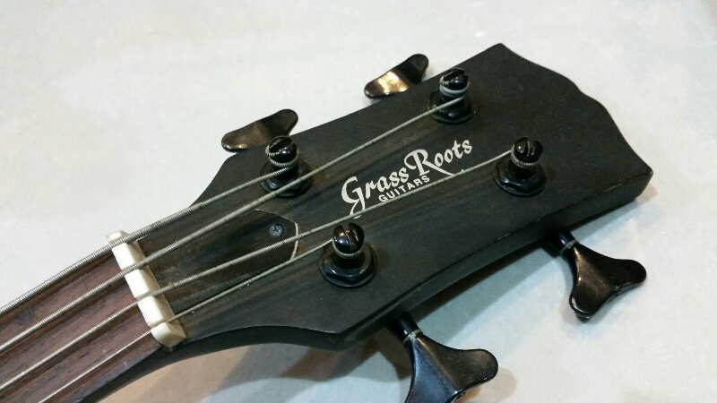 Grass Roots SG bass